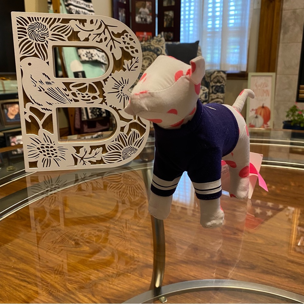 VS Pink mini dog